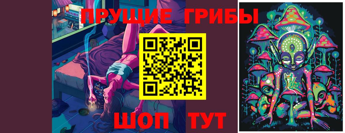 Галлюциногенные грибы мухоморы  Вход с VPN  Галлюциногенные грибы Psilocybine cubensis  Сегежа 